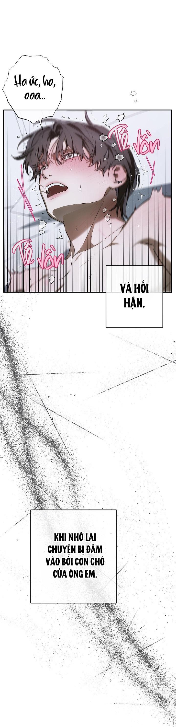 BẢO VẬT Chapter 24 - Next Chapter 25