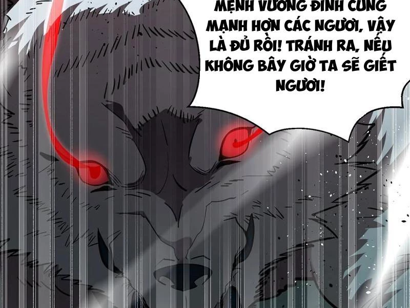 toàn cầu cao võ Chapter 282 - Trang 2