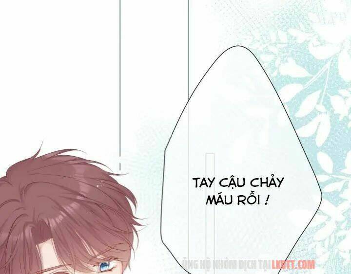 bảo vệ siêu sao của tôi chapter 49.1 - Trang 2